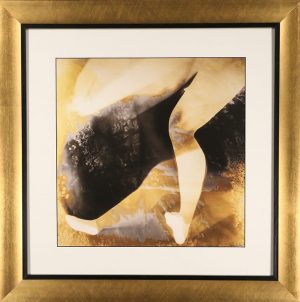 Contemporary Abstract Black and Gold Photograph